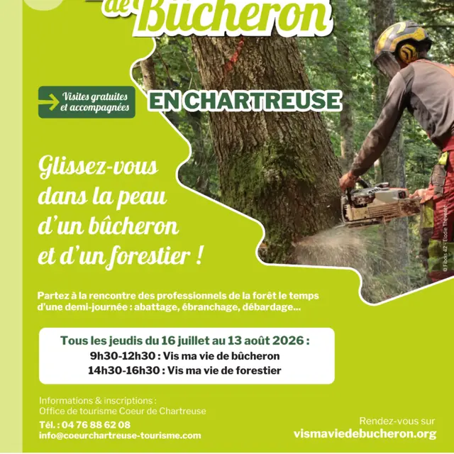 Vis ma vie de bucheron à Apremont_Apremont