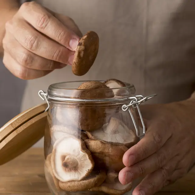 Atelier culture de champignons_Allevard