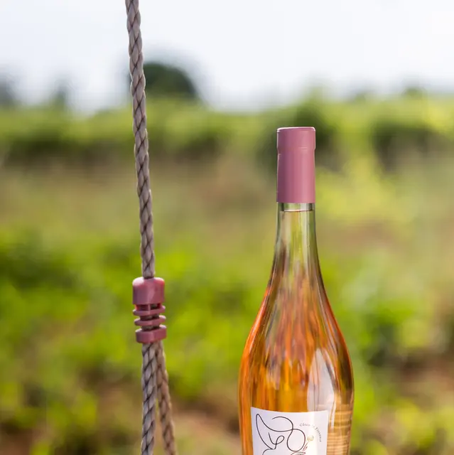 Domaine Les Arbillons_Vidauban