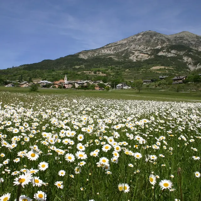 Thorame Haute au printemps