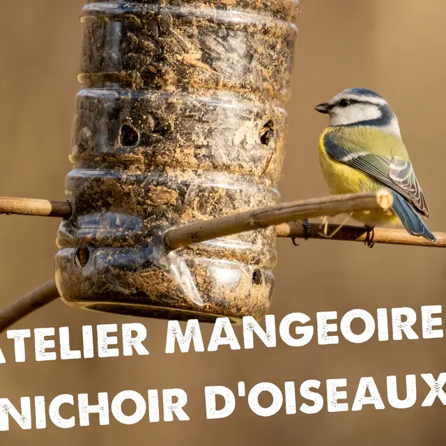 L'Atelier Mangeoire à oiseaux_Morillon