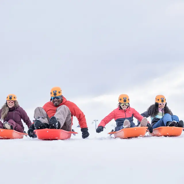 Luge'N'Troll
