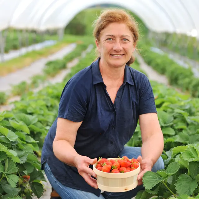 Maison Rouge Framboise