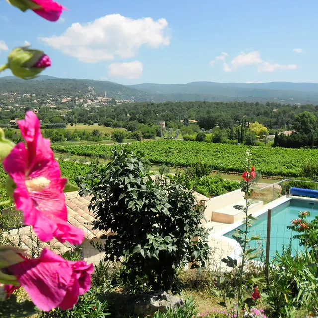 vue depuis la terrasse