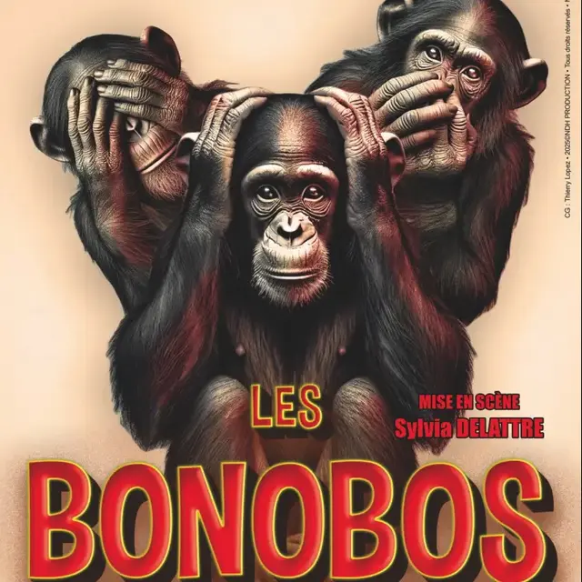 Les Bonobos_Nice