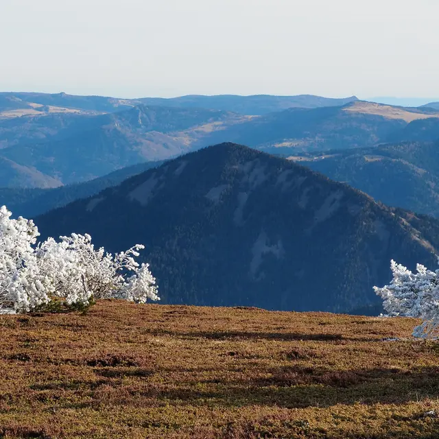 Photographies_Le Chambon-sur-Lignon