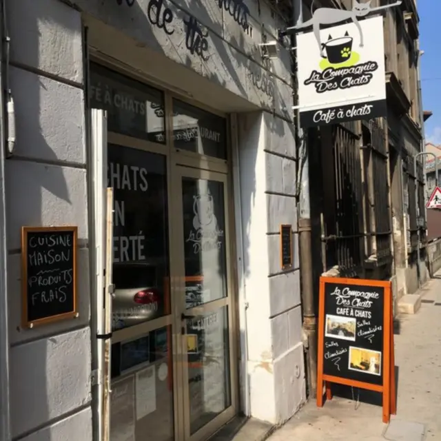 La Compagnie des Chats
