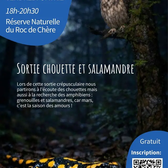 Sortie Chouette et Salamandre_Talloires-Montmin