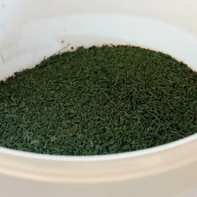 Conférence sur la spiruline