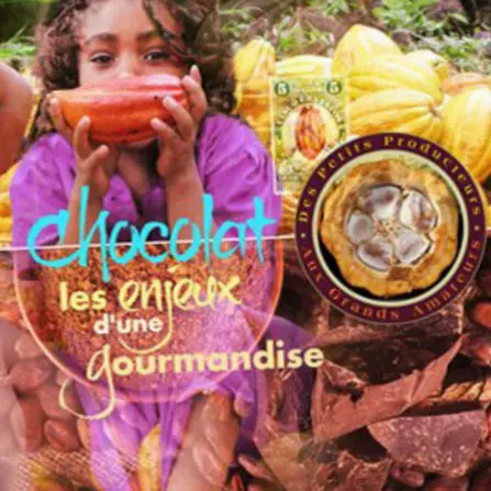 Chocolat, les enjeux d'une gourmandise