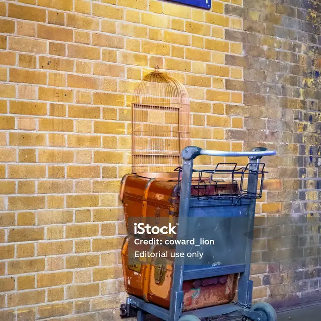 Le quiz d’Harry_Saint-Martin-Vésubie