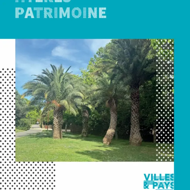 Fête des salins - Les Pesquiers_Hyères
