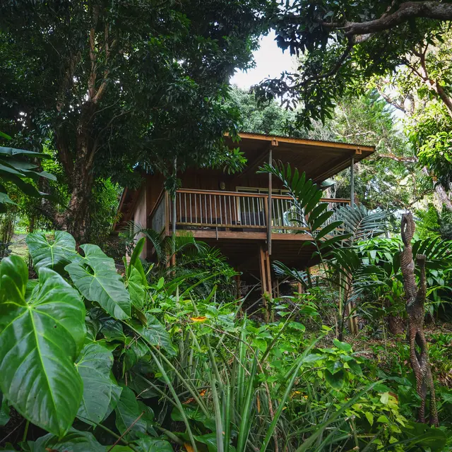 Gîte Ka Waboana Lodge_Hienghène