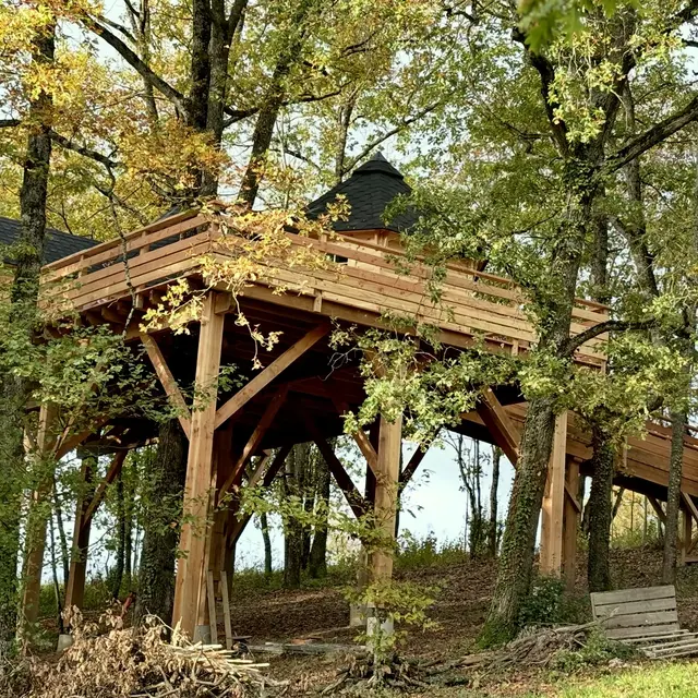 La cabane du grand chêne_Bongheat
