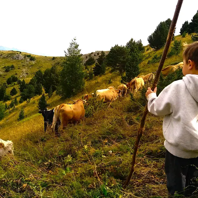 Ferme de La Petite Grange_Montmaur