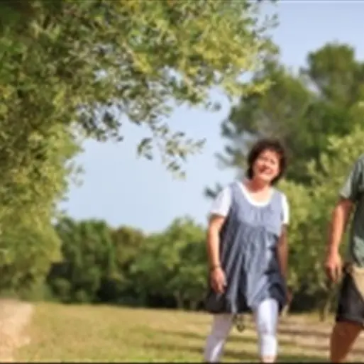 Oliveraie des Aumèdes