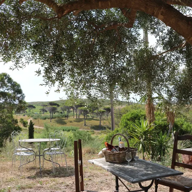 Brocante et vide Grenier au Domaine La Tourraque_Ramatuelle