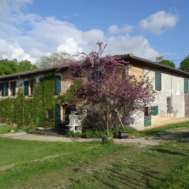 Gîte Cosy de la Pénardière