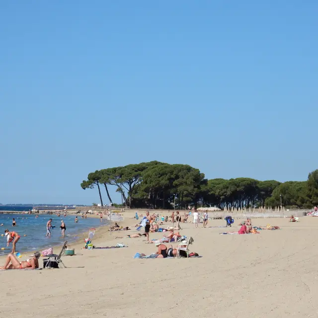 Location saisonnière à La Londe les Maures