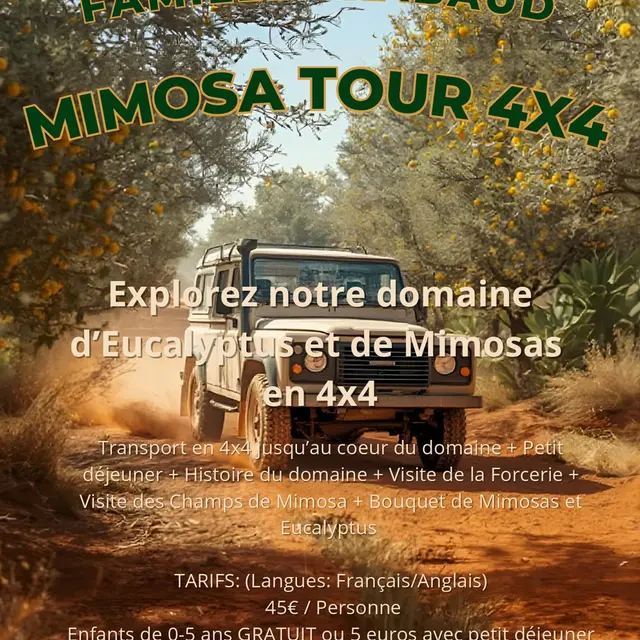 Mimosa Tour 4X4 à Tanneron_Tanneron