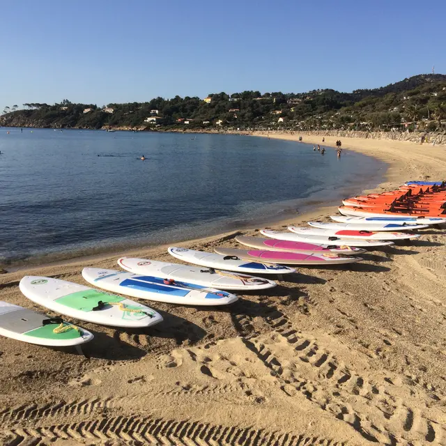 Paddle