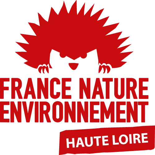 Le numérique et l'environnement_Le Chambon-sur-Lignon