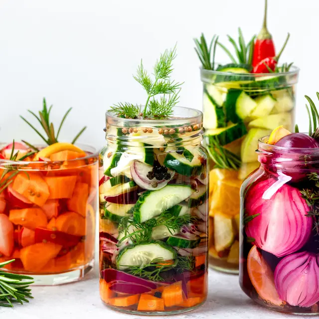 Conférence A la découverte de la lactofermentation_Bourg-en-Bresse