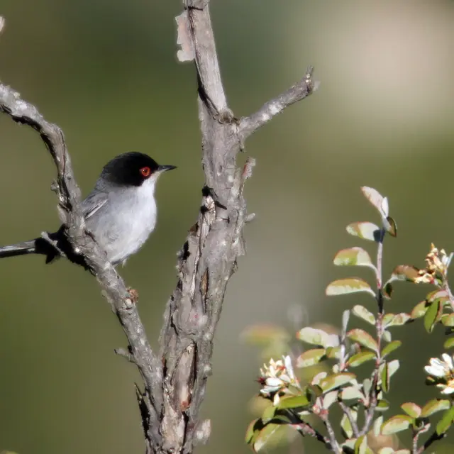 Exposition Agriculture et biodiersité  Ligue de protection des oiseaux_Apt