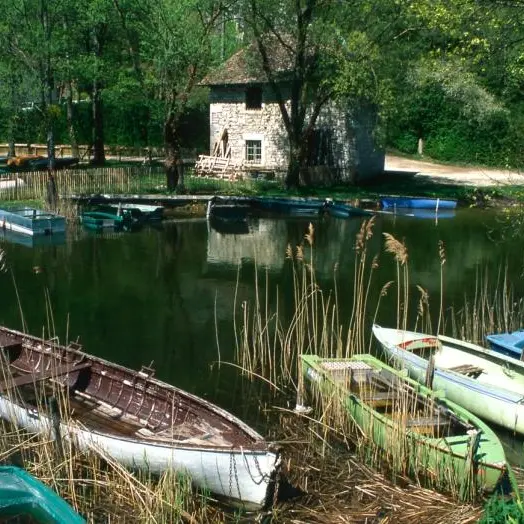 Pêche au lac de Barterand - AAPPMA du Bas Bugey