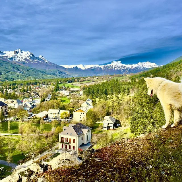 Yupik Aventures Nordiques