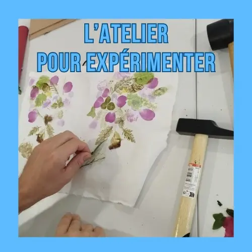 Atelier Tataki zomé (à partir de 9 ans)_Châteauvert