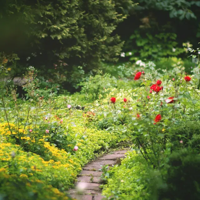 Le jardin fête la nature !