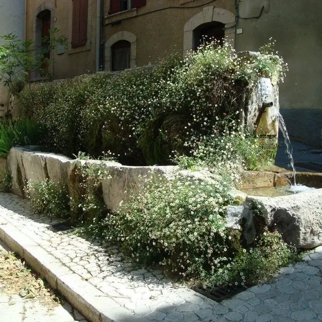 Fontaine du brousson d'or