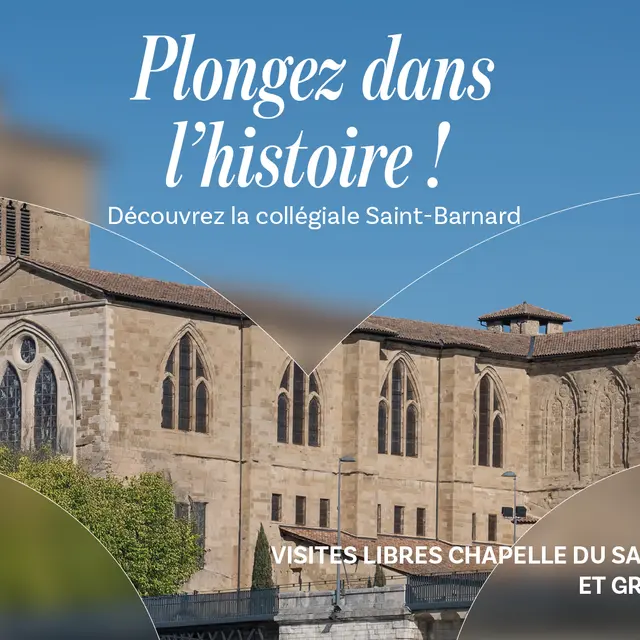 Visites exceptionnelles de la Collégiale Saint-Barnard !_Romans-sur-Isère