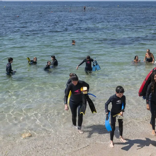 Nage palmée en groupe sur les vestiges d'Olbia_Hyères