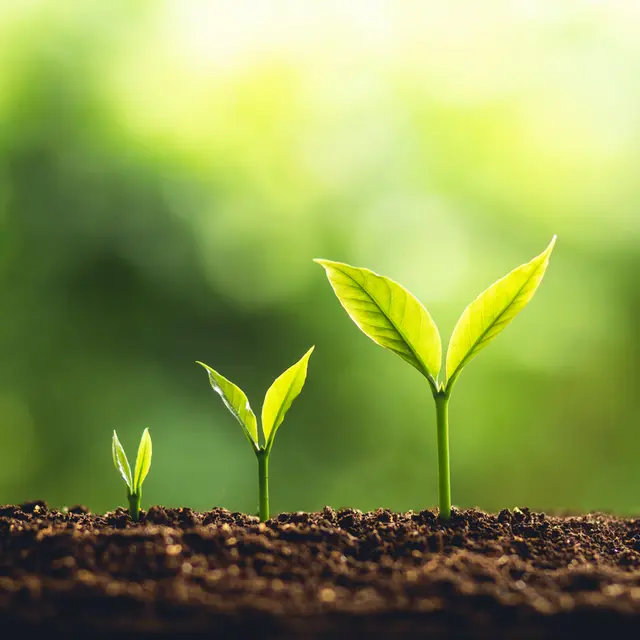 Biodiversite dans le maraichage_Mialet