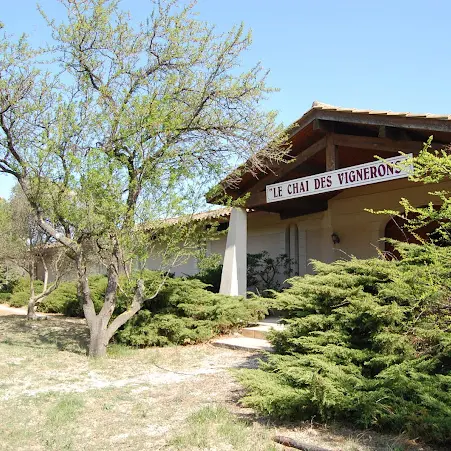 Cave à vin Dionysos