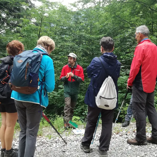 RBI Griffe du Diable