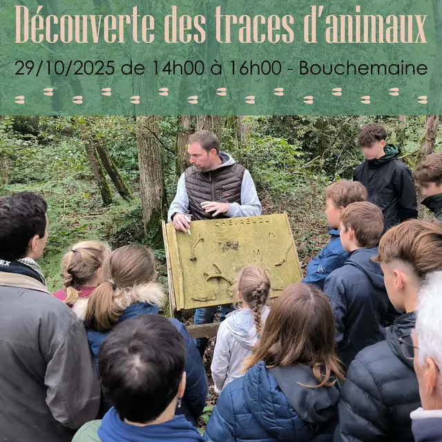 Animation : découverte des traces d'animaux_Bouchemaine