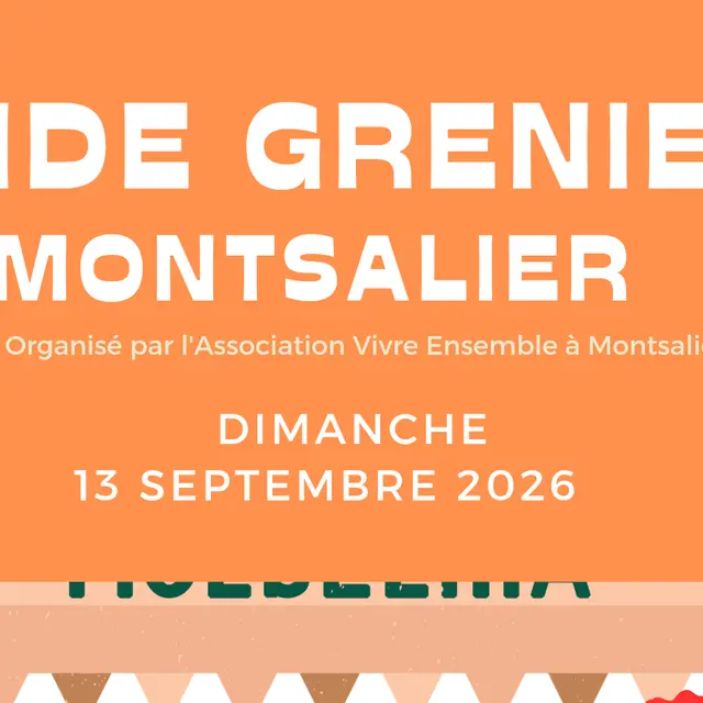 Vide grenier_Montsalier