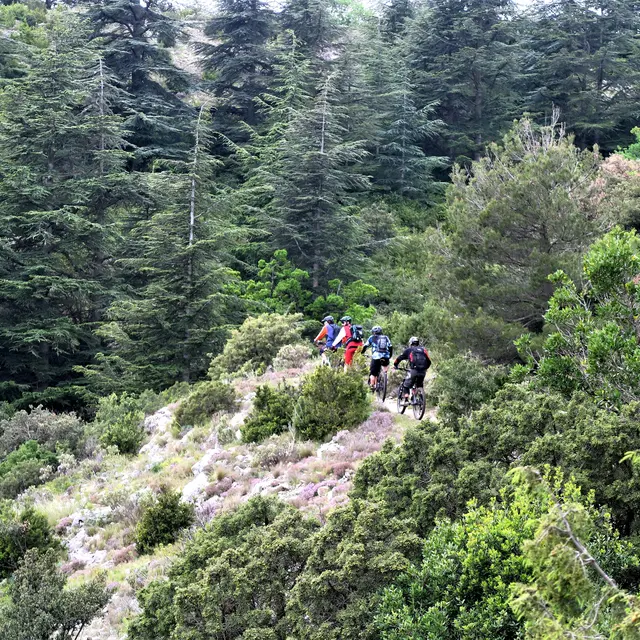 Grand tour du Petit Luberon en VTT