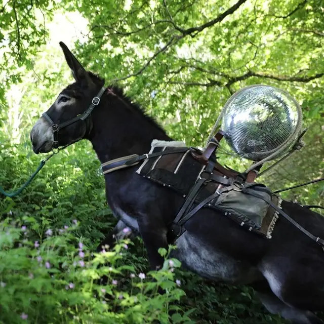 Rendez-vous au manoir de Vaubonnais -Créer par et pour un paysage- La Pierre