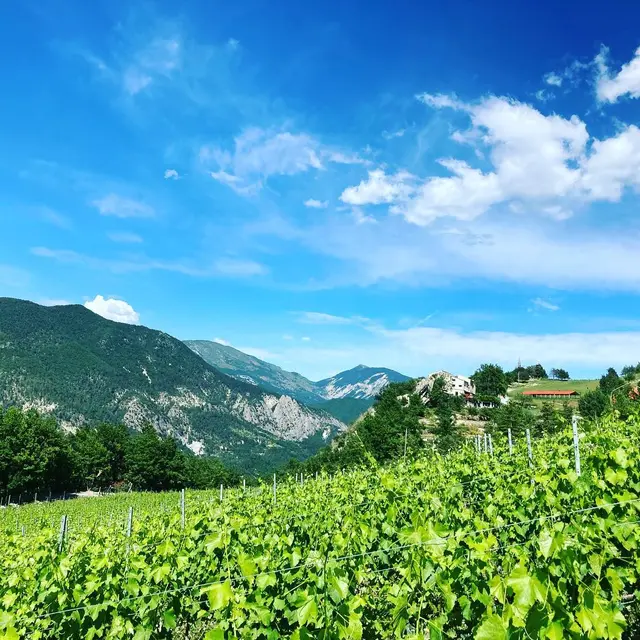 Le Domaine de Glandève