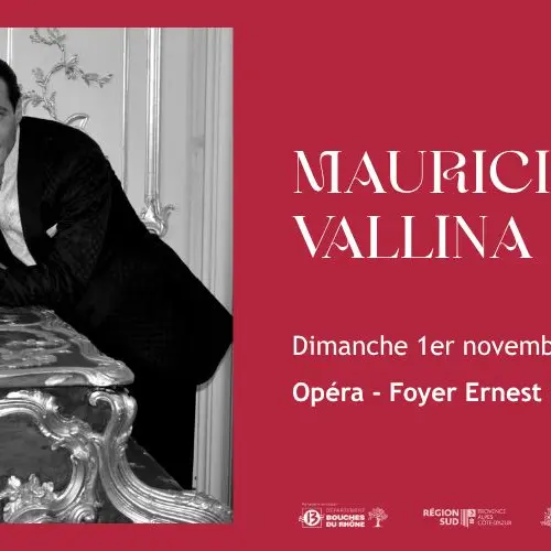 Mauricio Vallina_Marseille
