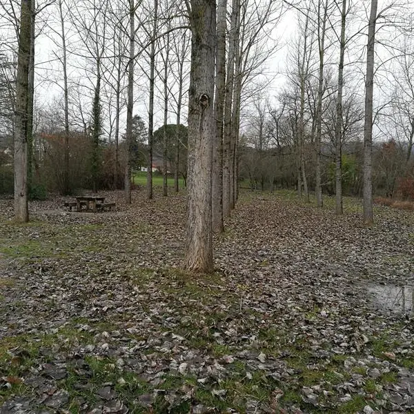 Aire de pique-nique du moulin de Varen_Varen