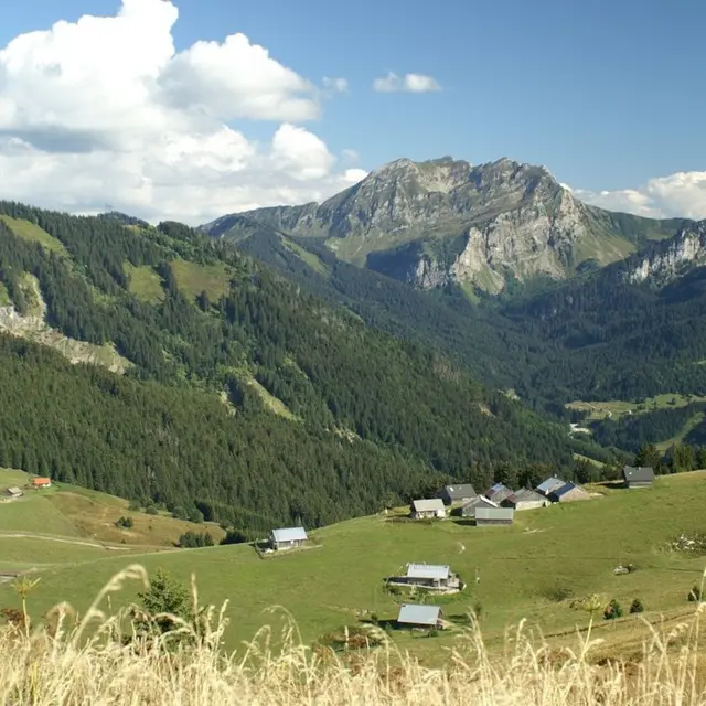 Randonnée au cœur des alpages de Vallon - Semaines du Géoparc_Bellevaux