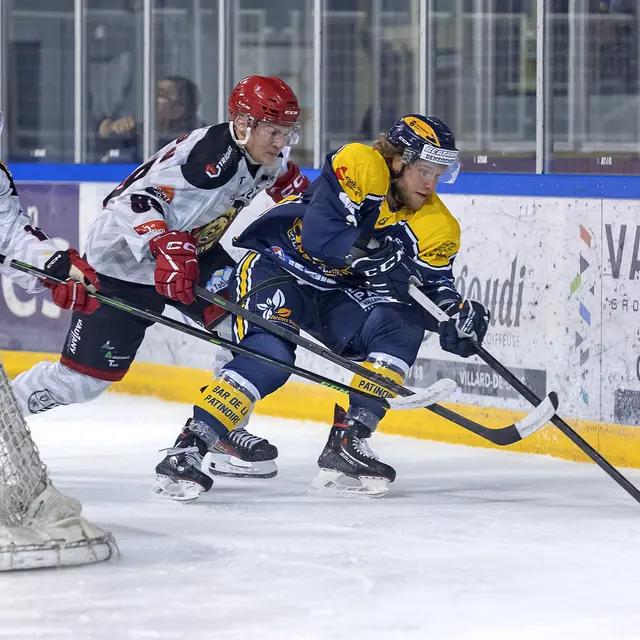 Les Ours de Villard_Villard-de-Lans