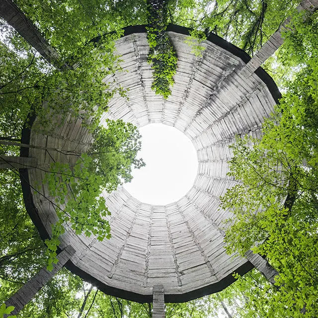 Naturalia II