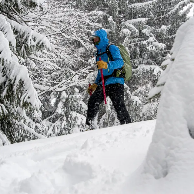 Raclette à raquettes_Passy