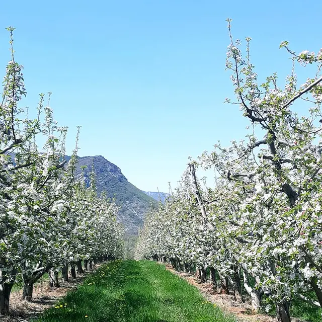 EARL Les Pommes de la Vallée du Buëch à Laragne